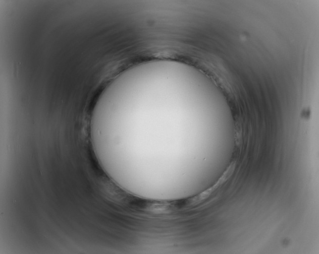 X0000103240175200808281042