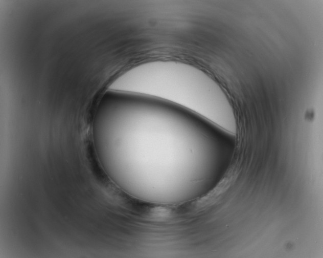 X0000103240176200808281042