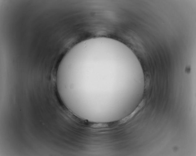 X0000103240179200808281042