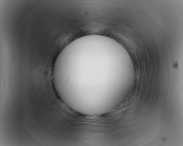 X0000103240181200808281042