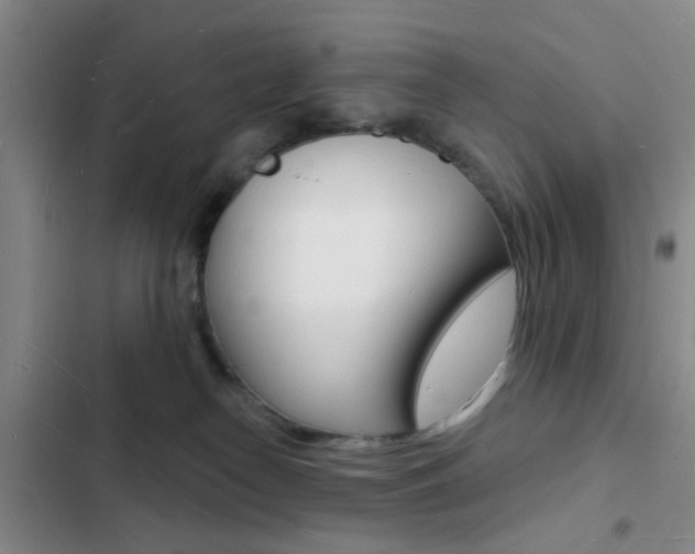 X0000103240182200808281042