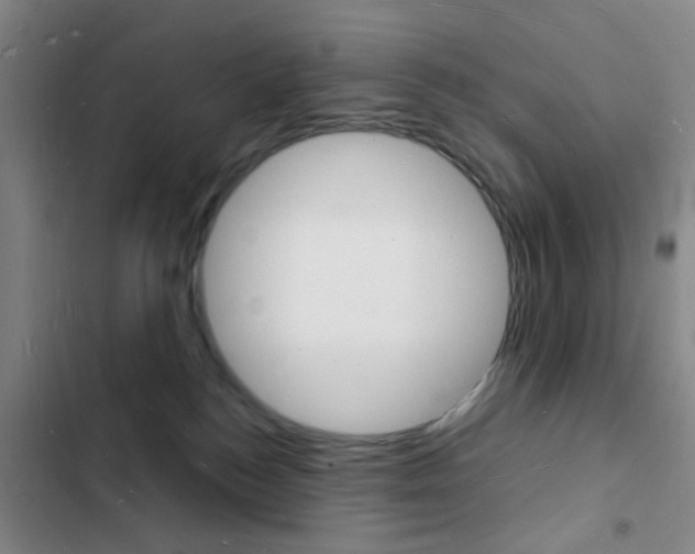 X0000103240184200808281042