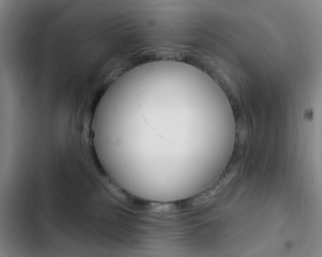 X0000103240185200808281042