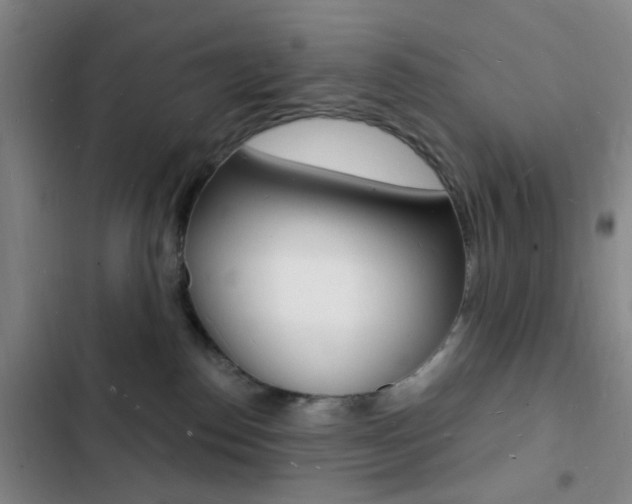 X0000103240186200808281042