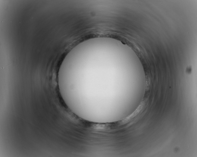 X0000103240187200808281042