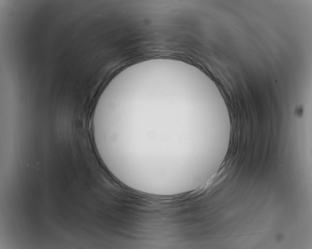 X0000103240188200808281042