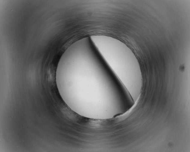 X0000103240190200808281042