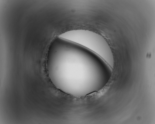 X0000103240192200808281042