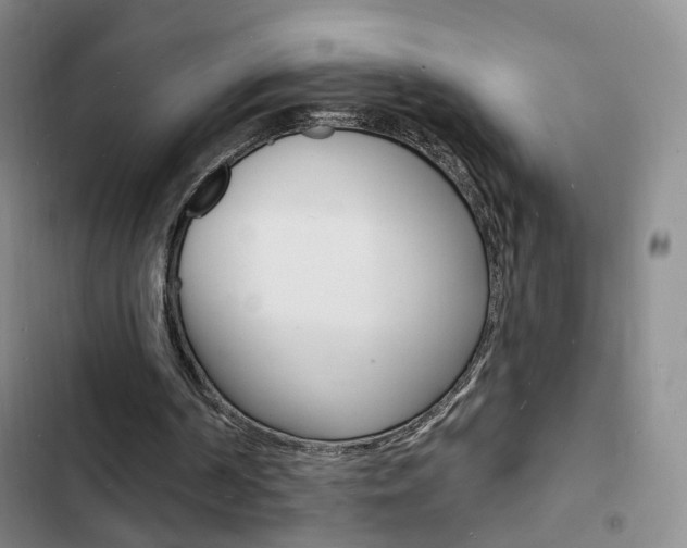 X0000103240194200808281041