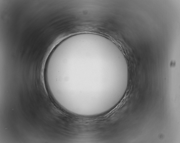 X0000103240195200808281041