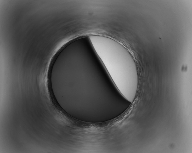 X0000103240196200808281041