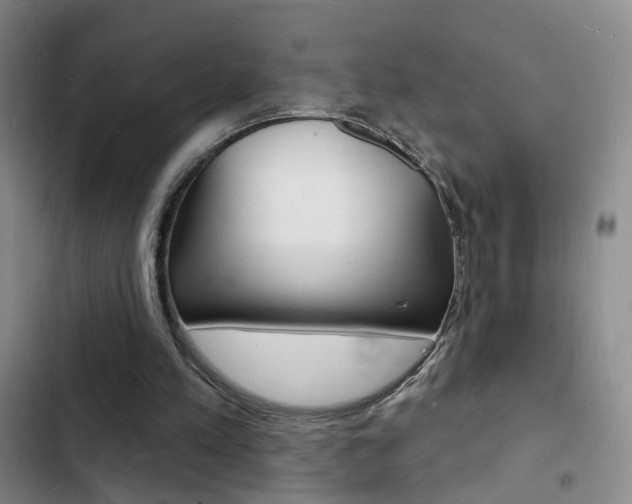 X0000103240197200808281041