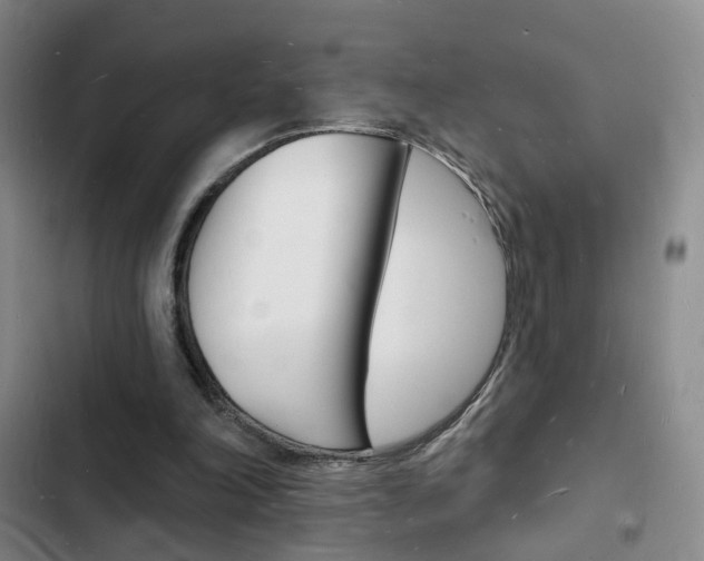 X0000103240198200808281041
