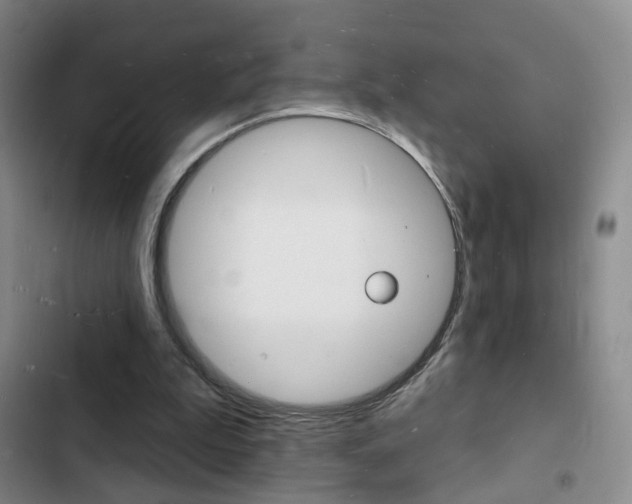 X0000103240199200808281041