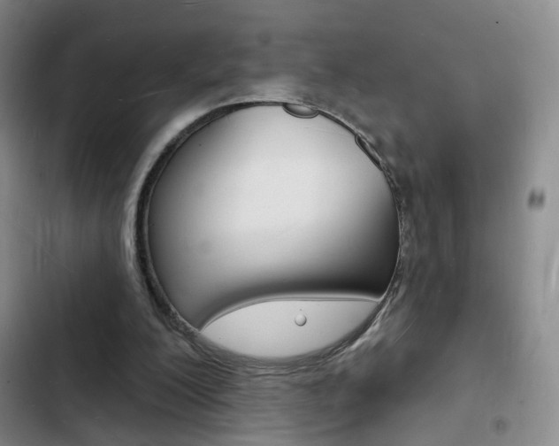 X0000103240200200808281041