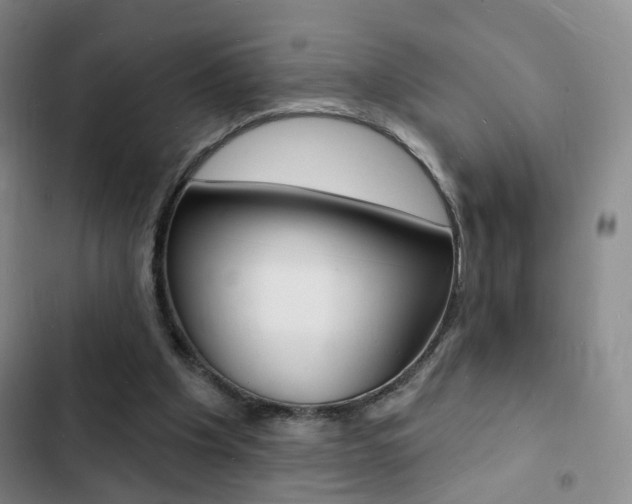 X0000103240201200808281041