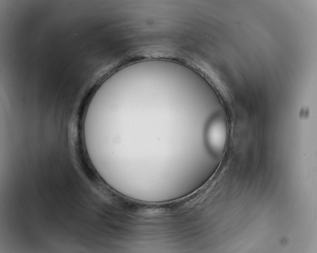 X0000103240202200808281041