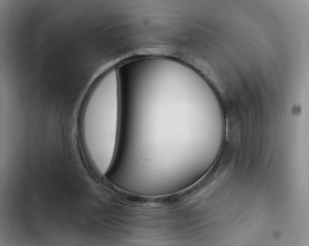 X0000103240204200808281041