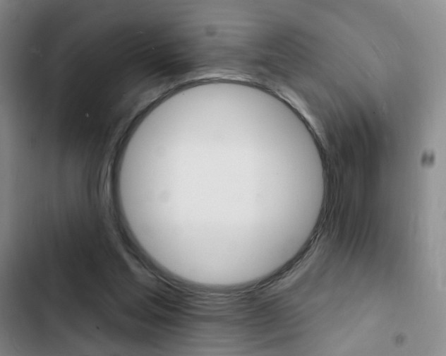 X0000103240205200808281041