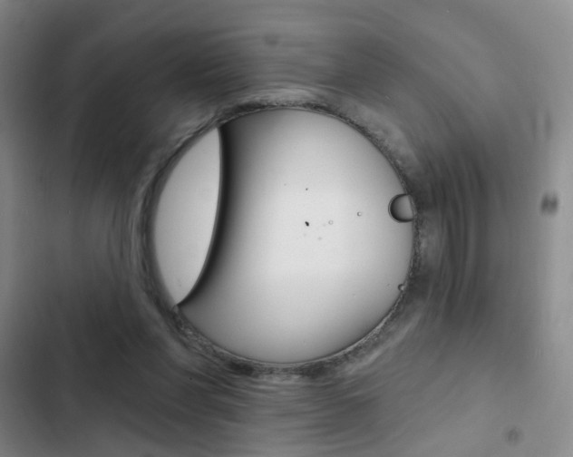 X0000103240206200808281041