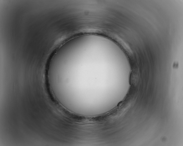 X0000103240207200808281041