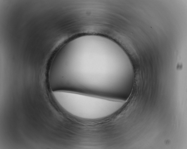 X0000103240208200808281041