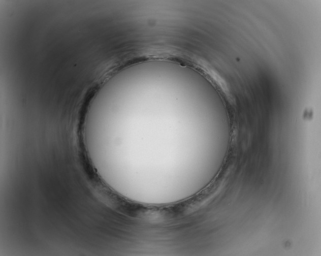 X0000103240209200808281041