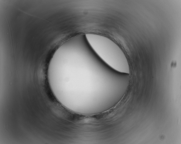 X0000103240210200808281041