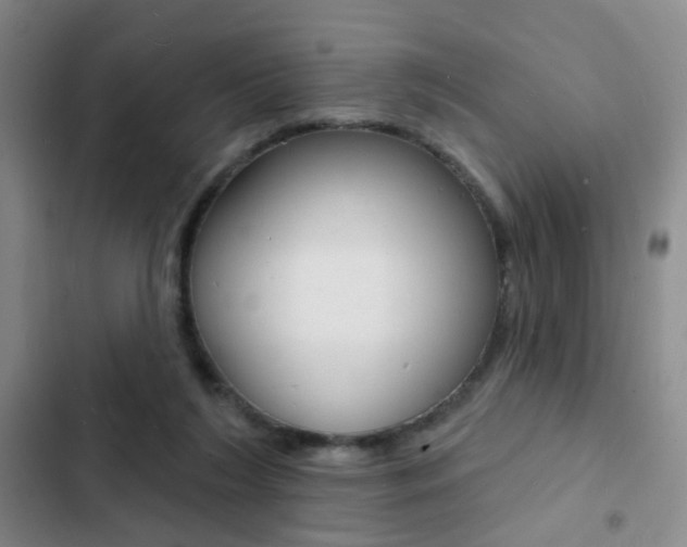X0000103240212200808281041