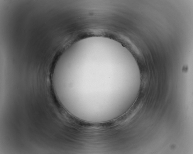 X0000103240213200808281041