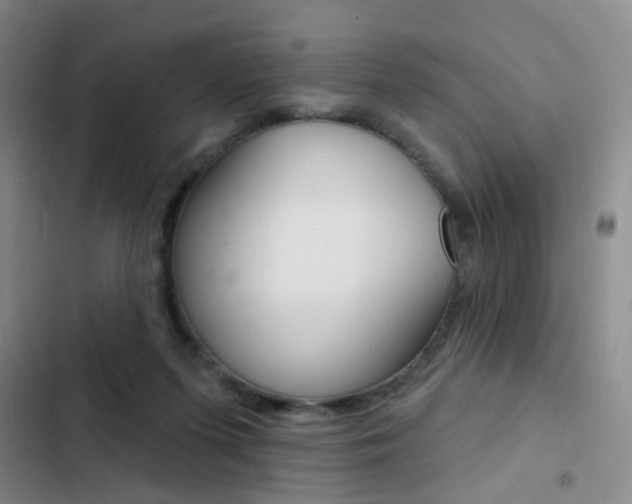 X0000103240215200808281041