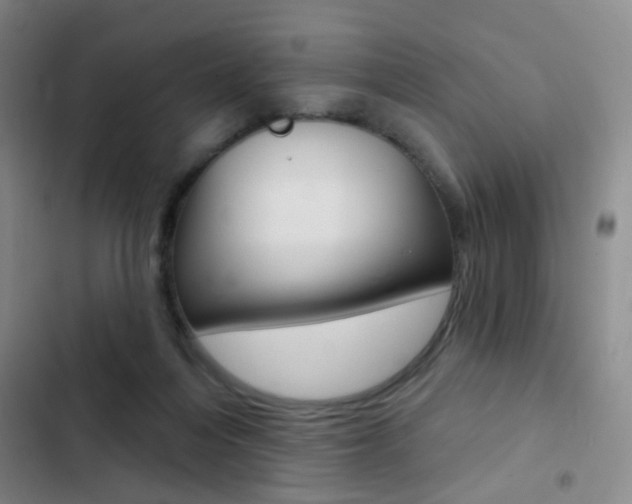 X0000103240216200808281041