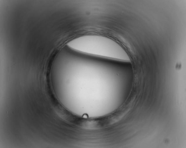X0000103240217200808281041