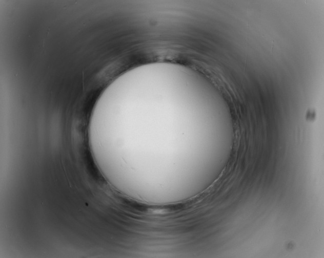 X0000103240218200808281041