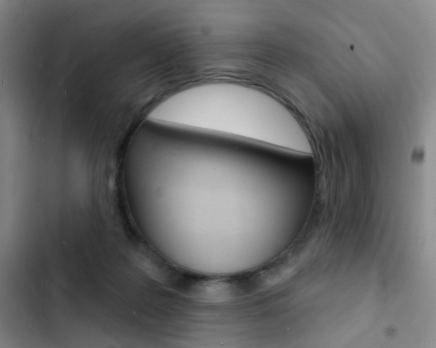 X0000103240219200808281041