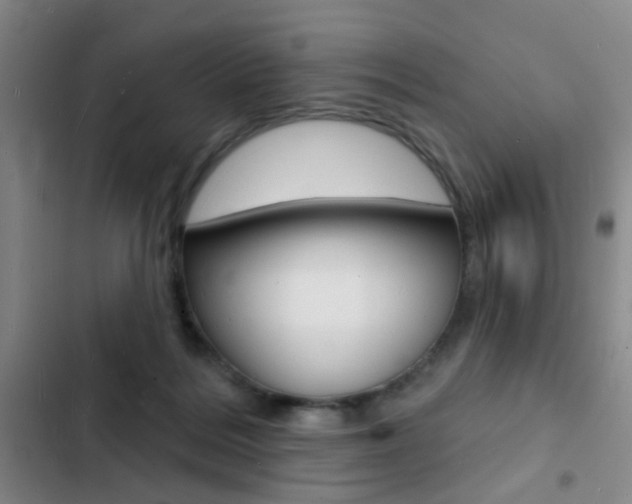 X0000103240220200808281041