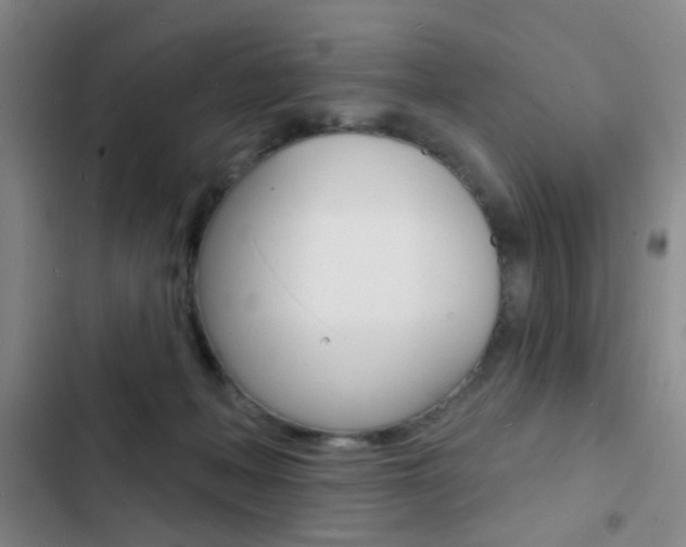 X0000103240222200808281041