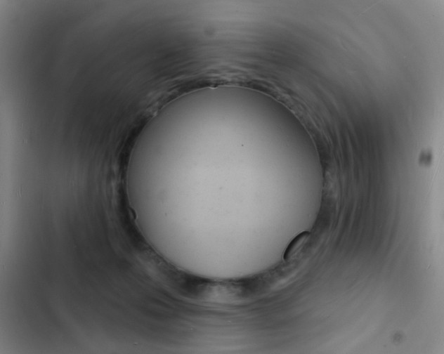 X0000103240223200808281041