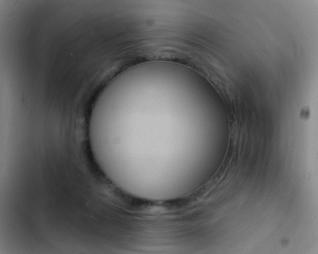 X0000103240224200808281041