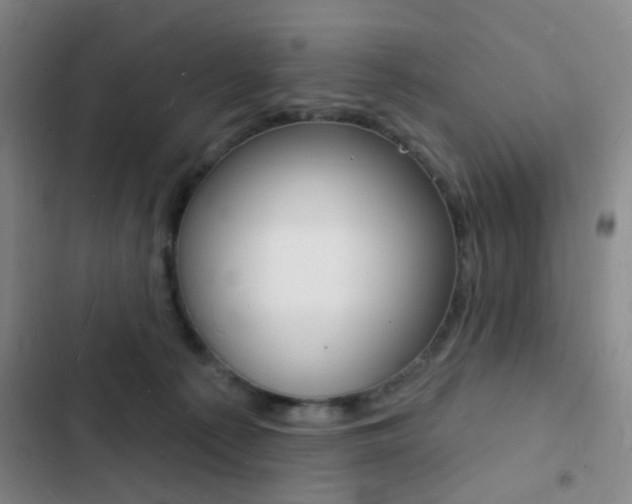 X0000103240225200808281041