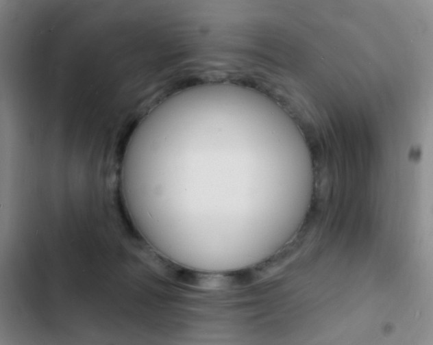 X0000103240226200808281041