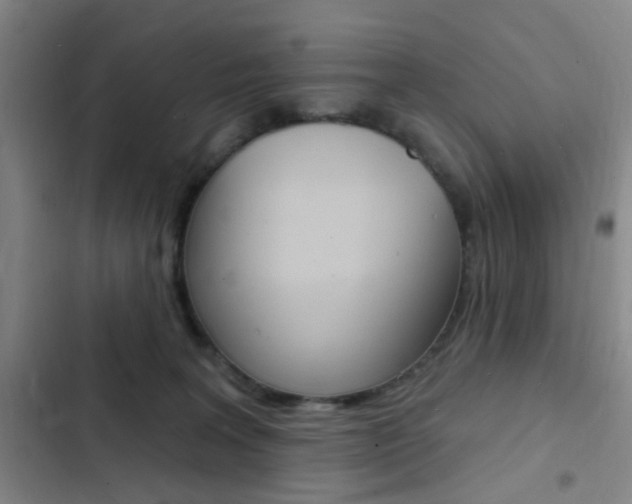 X0000103240227200808281041