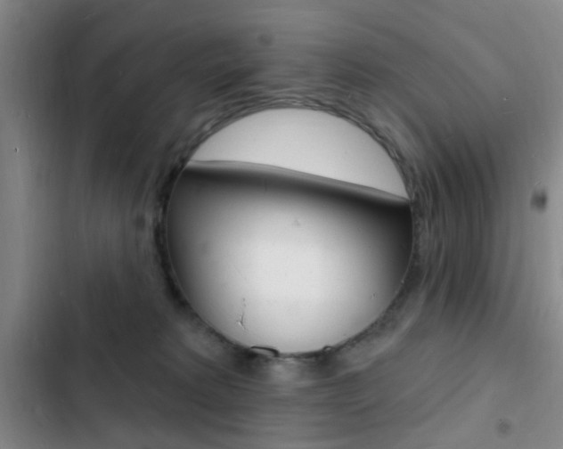 X0000103240229200808281041