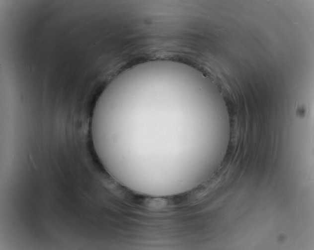 X0000103240230200808281041