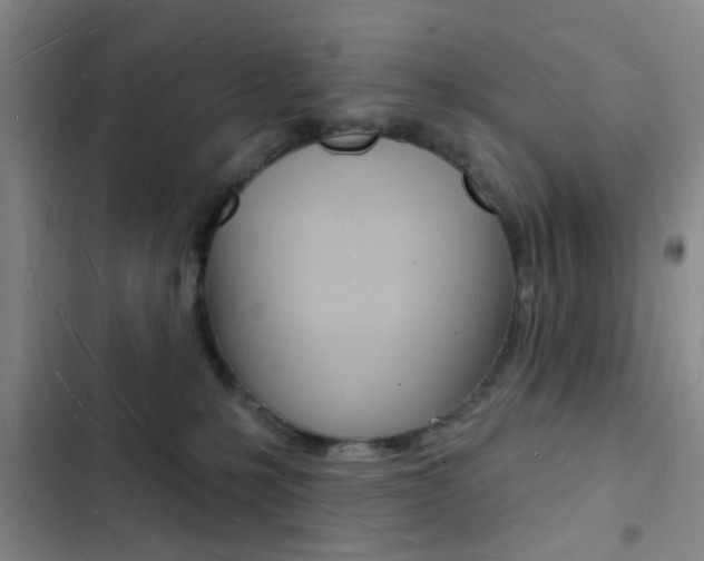 X0000103240231200808281041
