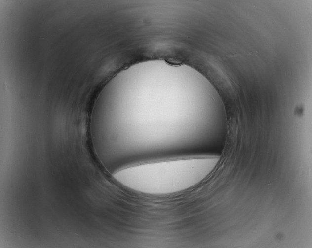 X0000103240232200808281041