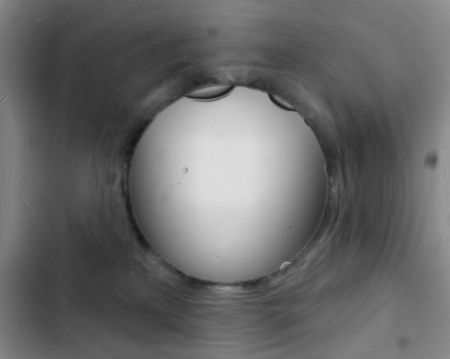 X0000103240233200808281041
