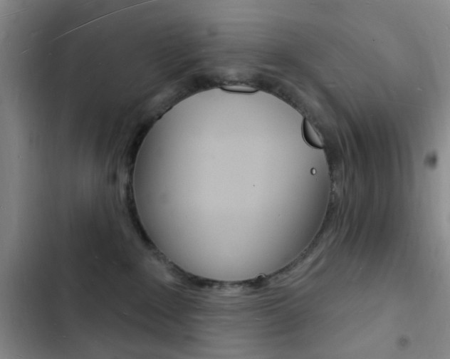 X0000103240235200808281041