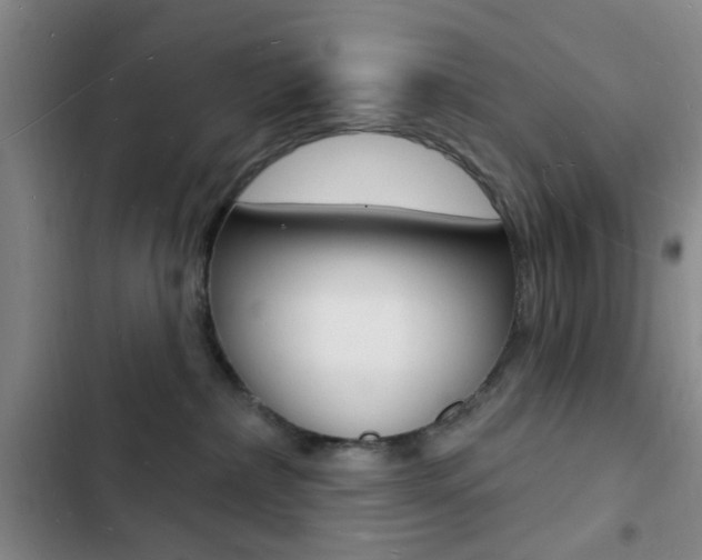 X0000103240236200808281041