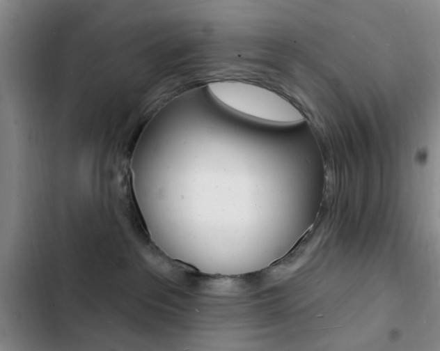 X0000103240237200808281041